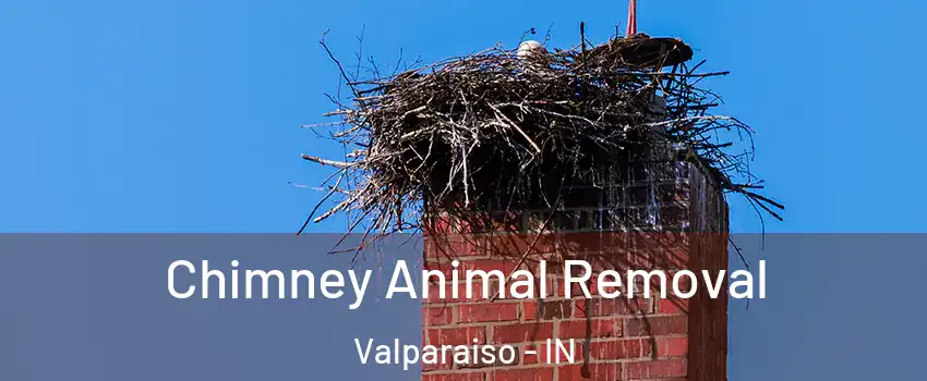  Chimney Animal Removal Valparaiso - IN