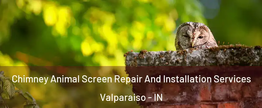  Chimney Animal Screen Repair And Installation Services Valparaiso - IN