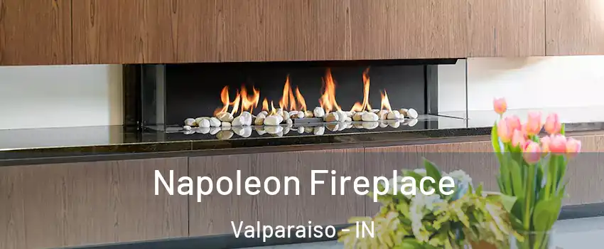  Napoleon Fireplace Valparaiso - IN
